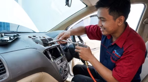 Mengusir Kecoa dan Semut yang Bersarang di Saluran AC Mobil